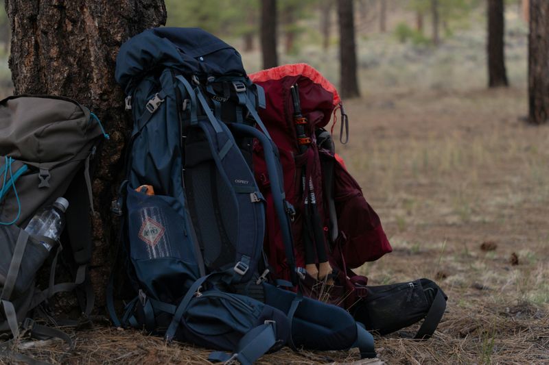 What to Bring on the Hobbit Trail Hike