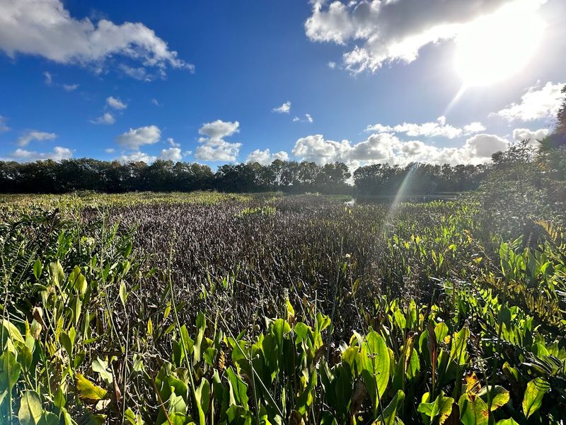 How Green cay compares To Other South Florida wetland trails