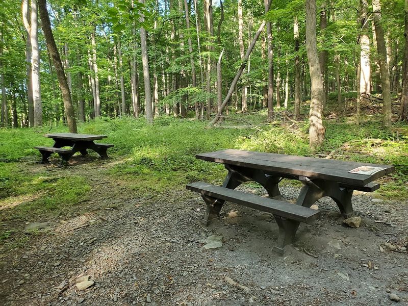 William Houck Area: The Hub of the Park Experience