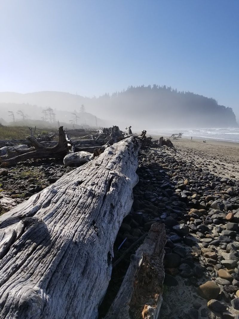 Why Bayocean Feels Unlike Any Other Oregon Coast Trail