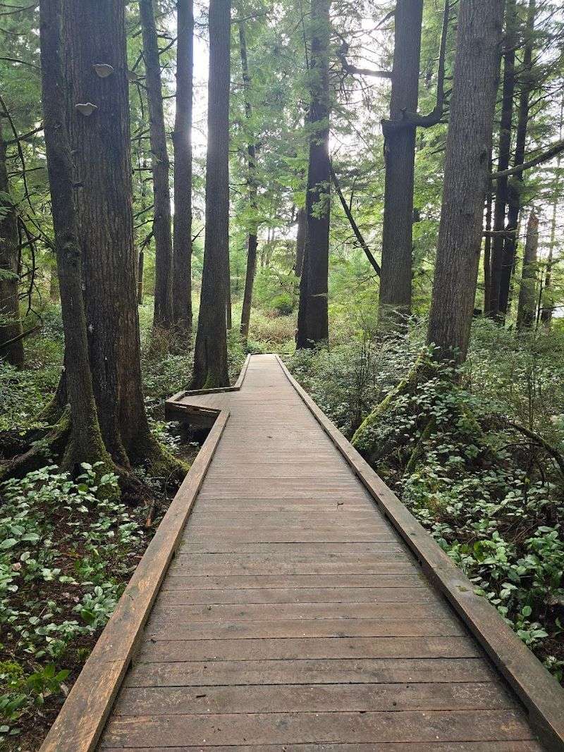 Why This Walk Deserves a Spot on Your Oregon Coast Trip