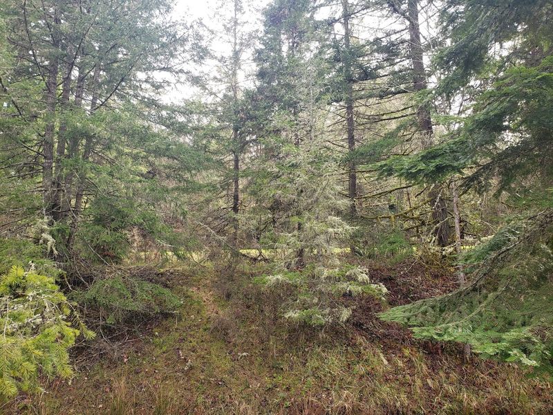 Wildlife Encounters Along the Trail