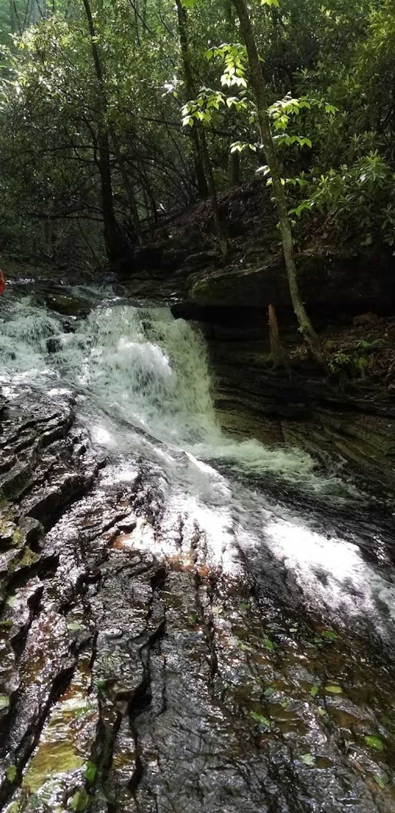 Leave No Trace: Keeping This Place as Magical as You Found It