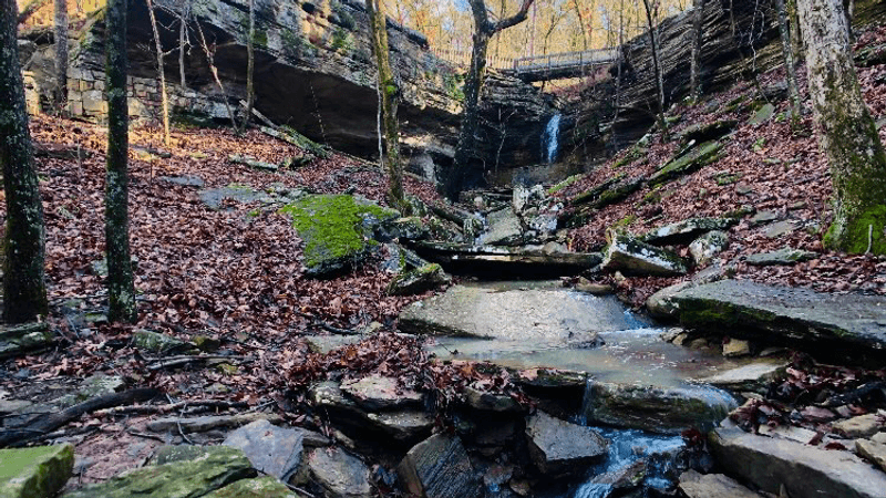 The Sandstone Canyon Setting