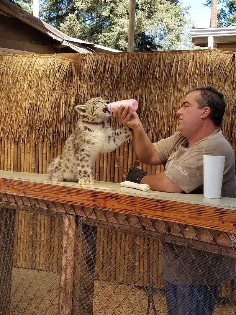 The Nursery Animal Encounters Are Pure Magic