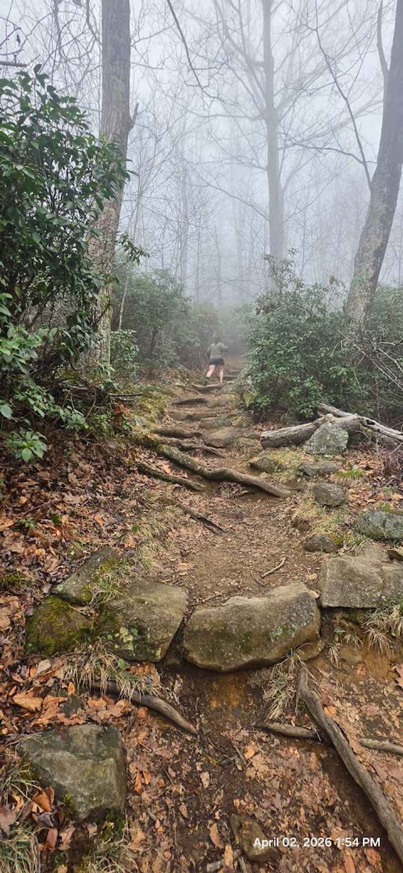 The Appalachian Trail in the Park: A Legendary Walk-On Role
