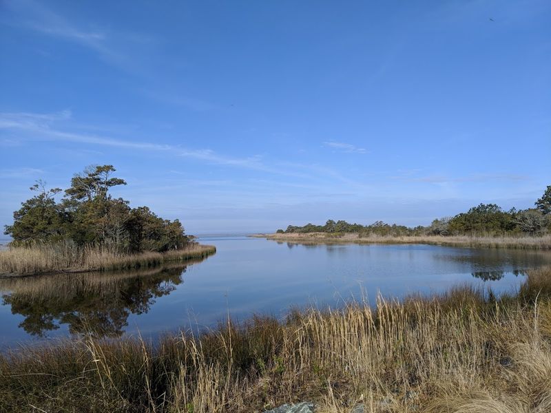 Kayaking Into Paradise Through Back Bay
