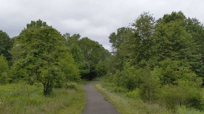 A Family-Friendly Escape That Actually Delivers