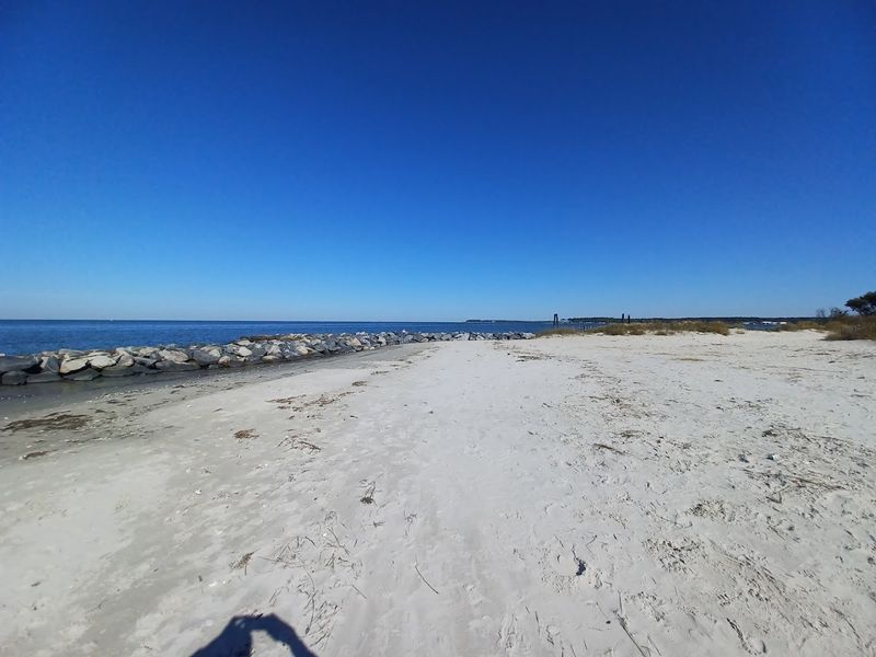Kiptopeke State Park: Nature Puts On a Full Show