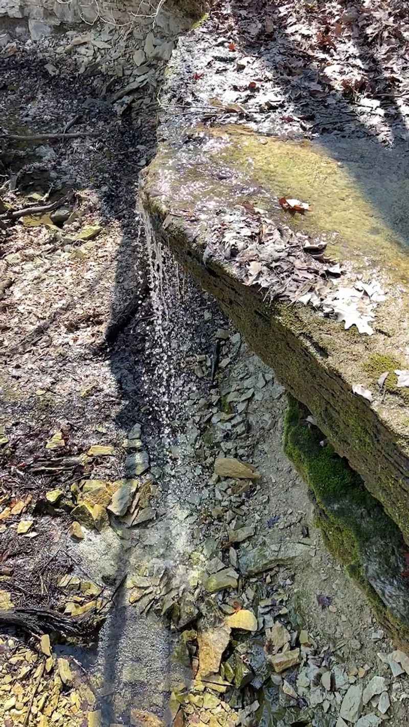 Fossil Reefs That Rewrite Your Idea of Indiana