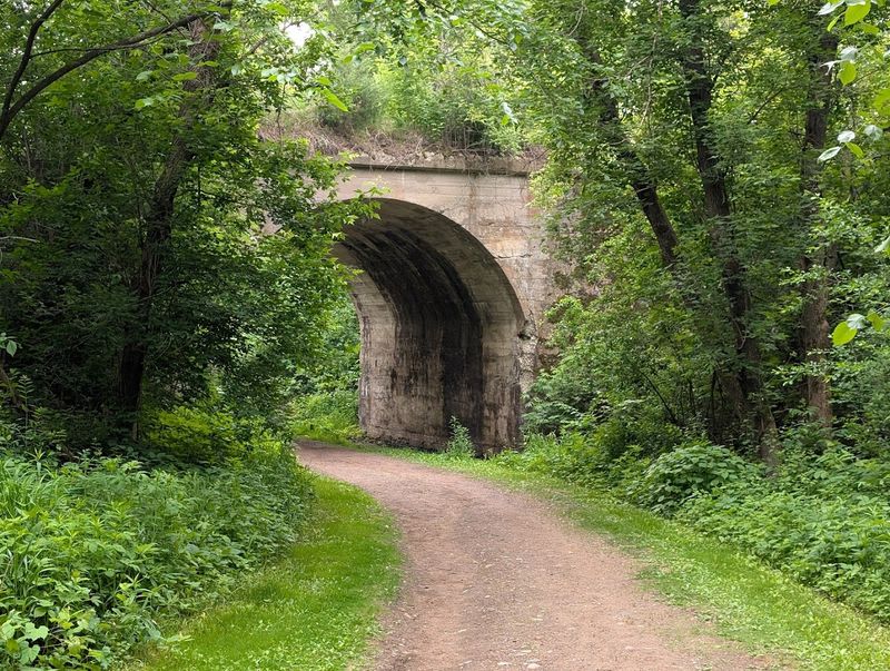 The Trail Loop Around Lake Alice