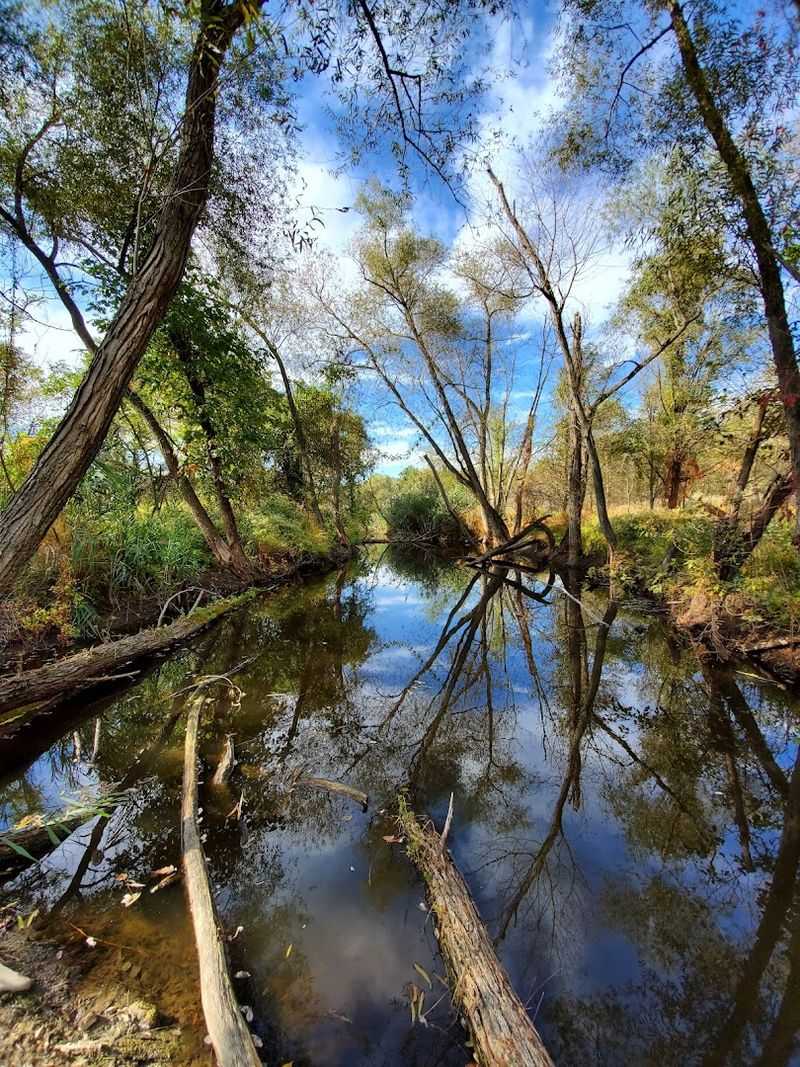 Exploring the Freshwater Tidal Cove