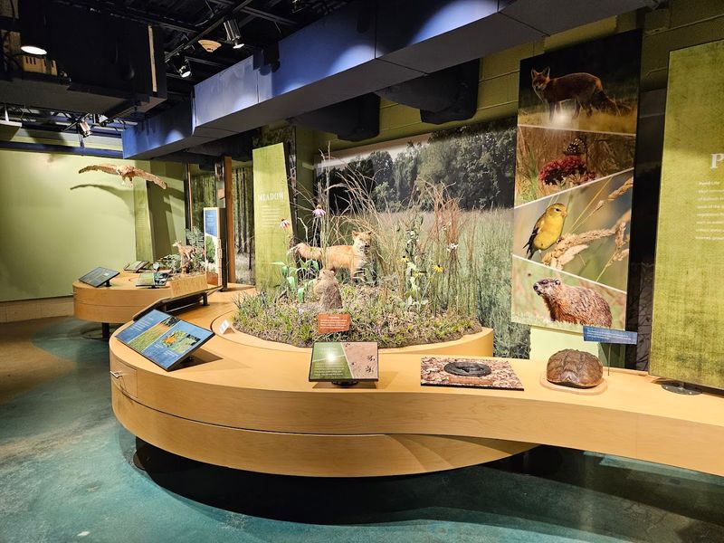 The Environmental Education Center Worth Stopping For