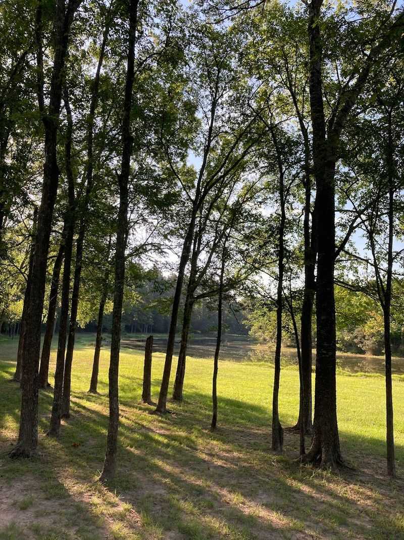 Multi-Use Trails for Every Kind of Adventurer