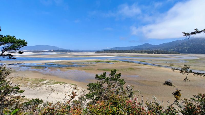 The Quiet Magic of the Salt Marsh