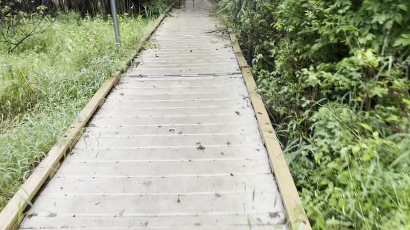 The ADA-Accessible Trail With Boardwalks And Viewing Platforms