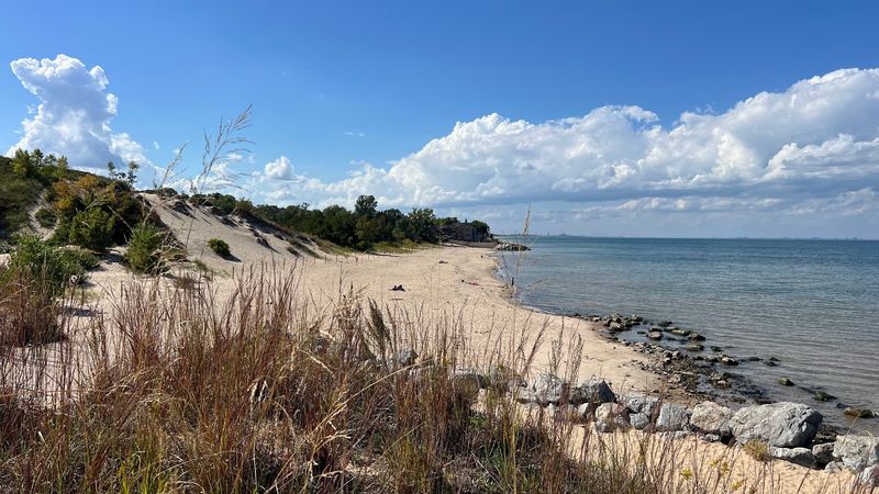 An Accessible Beach That Welcomes Everyone
