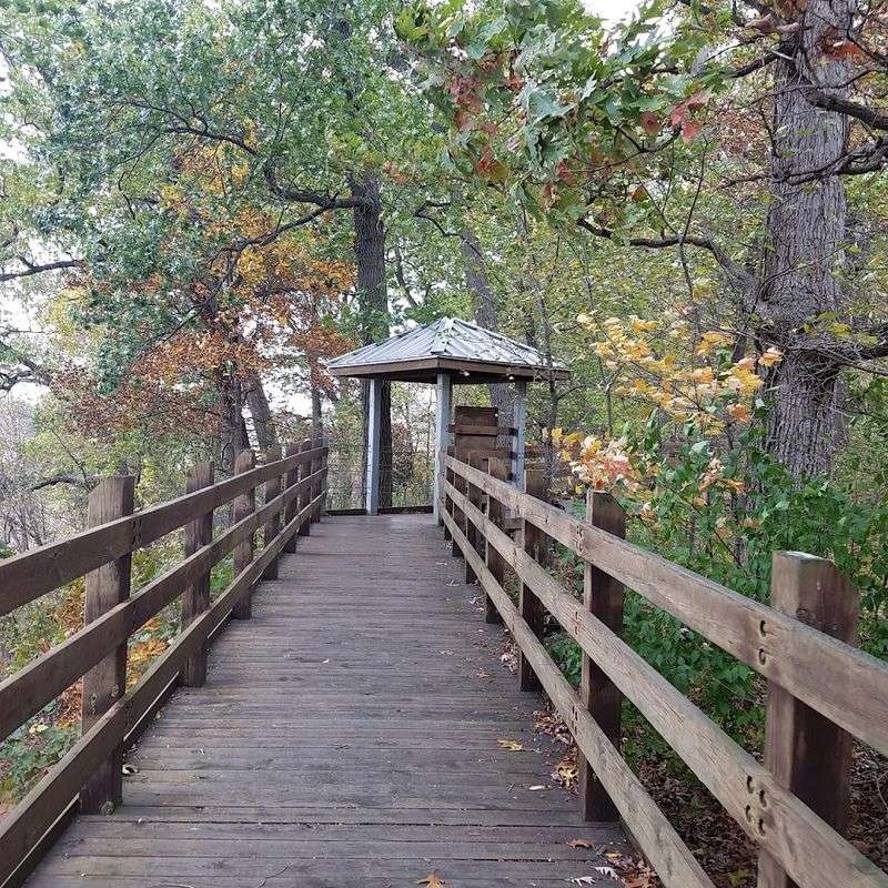 Educational Programs and Guided Events Worth Planning Around