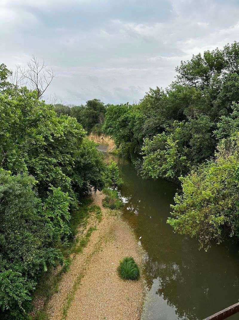 Why Southeast Austin's Best-Kept Secret Deserves Your Weekend