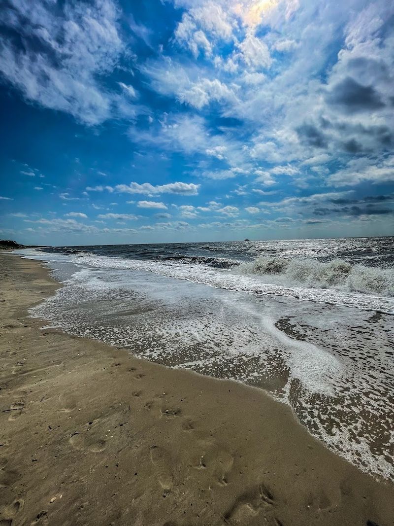 Cape May Diamonds Hidden in Plain Sight