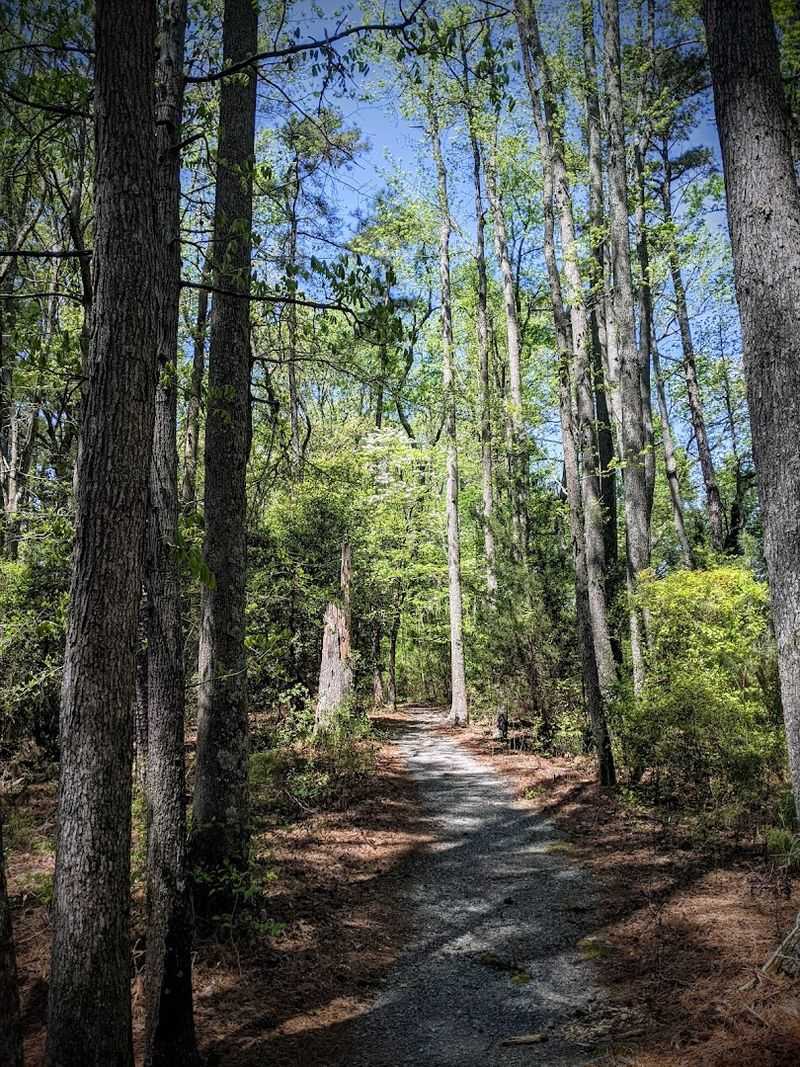 Hiking Trails That Reward Every Fitness Level