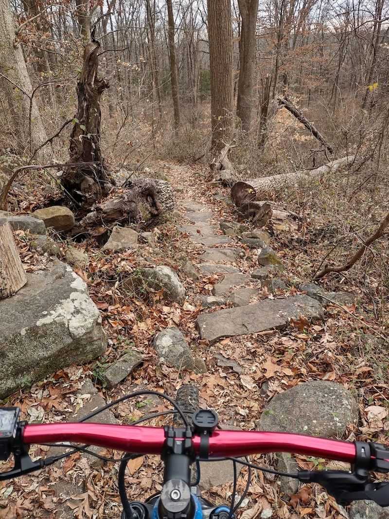 Mountain Biking Through Varied and Exciting Terrain