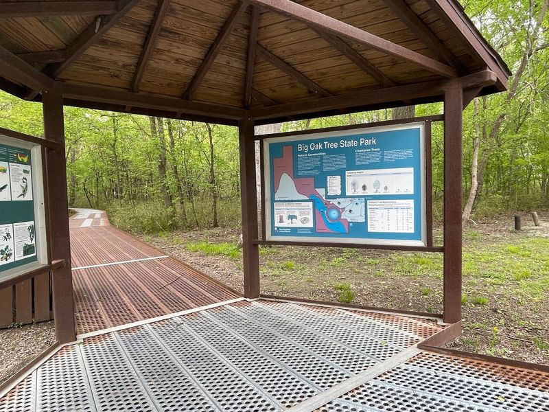 The History of a Landscape Transformed by Agriculture