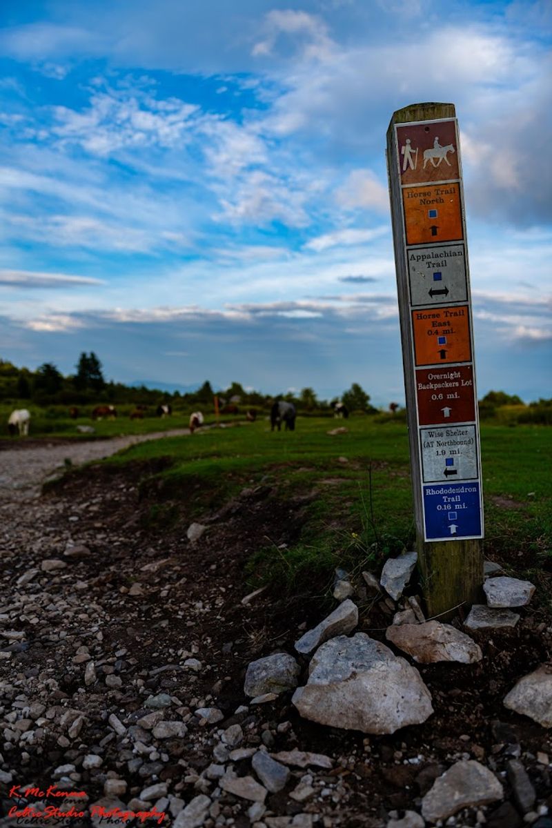 Trail Conditions and Practical Tips: Go Prepared