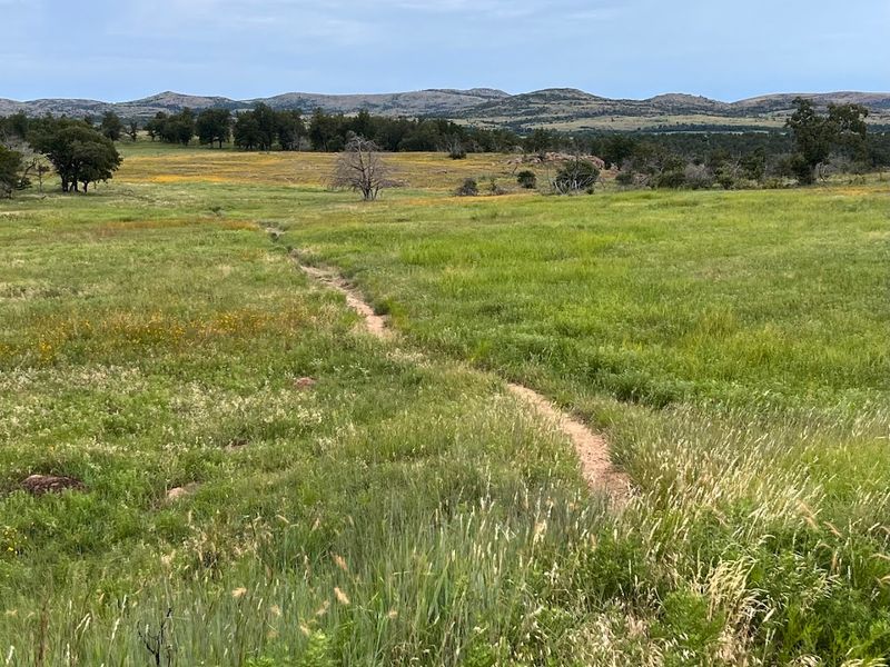 The Terrain and What to Expect Underfoot