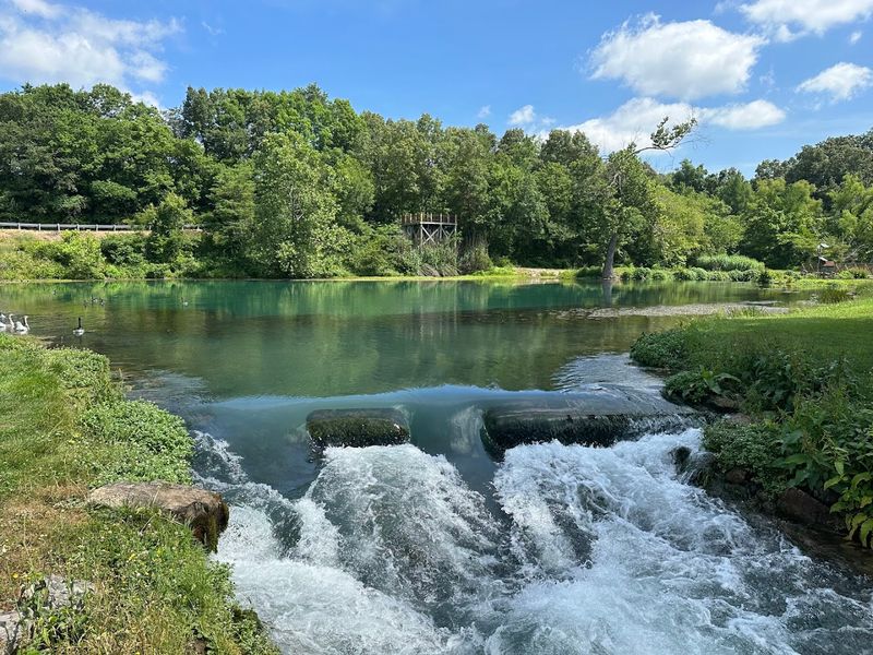 Mammoth Spring State Park