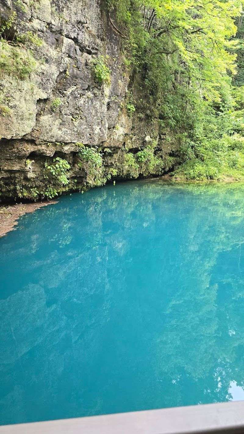 Why Blue Spring Belongs on Every Missouri Nature Lover's List
