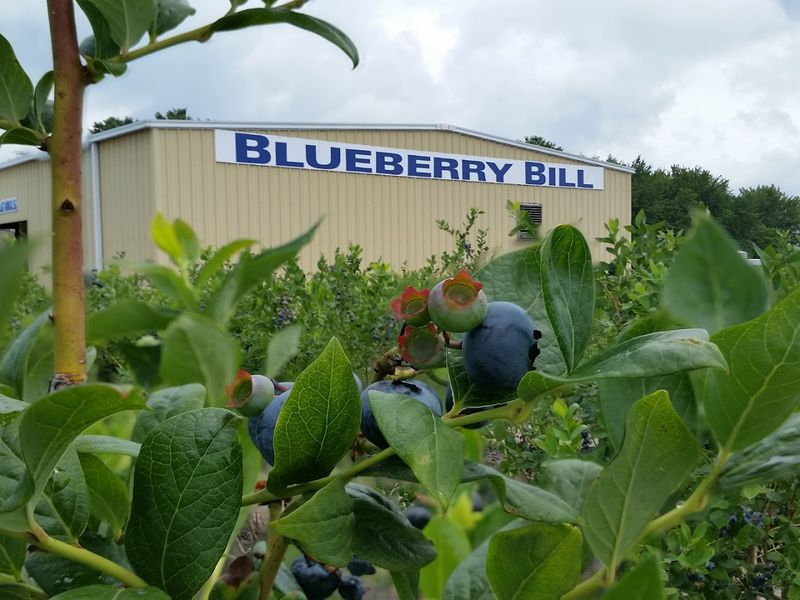 The Agricultural Heritage and Local Farm Culture