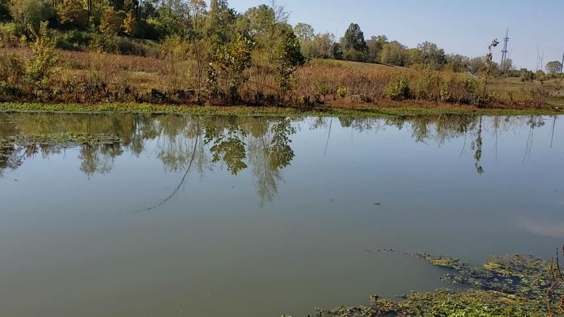 Pogue's Run Art and Nature Park