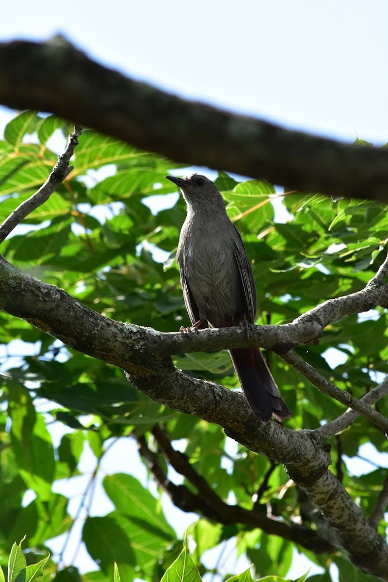 Bird Watching Opportunities That Will Genuinely Surprise You