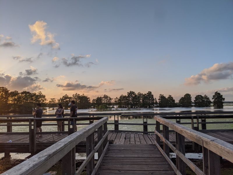 No Entrance Fee and Open Daily: Planning Your Visit