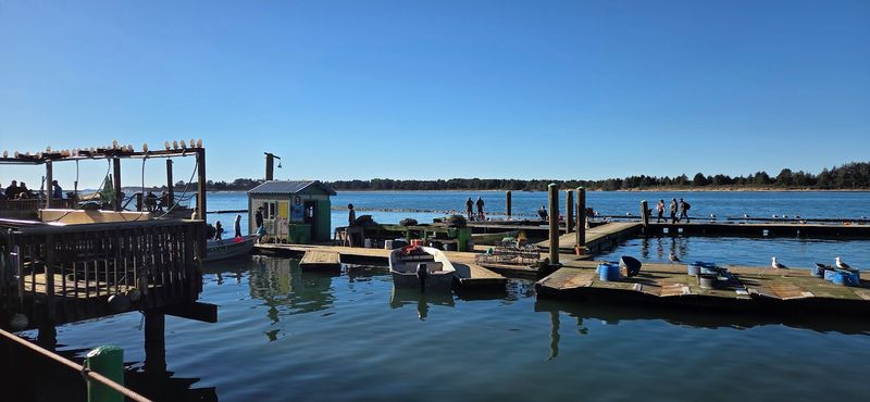 The Campground That Keeps You Close to the Water