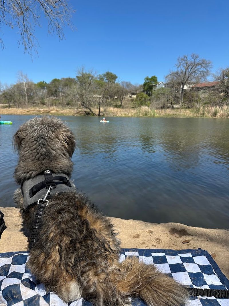 Pet-Friendly Vibes That Actually Mean It