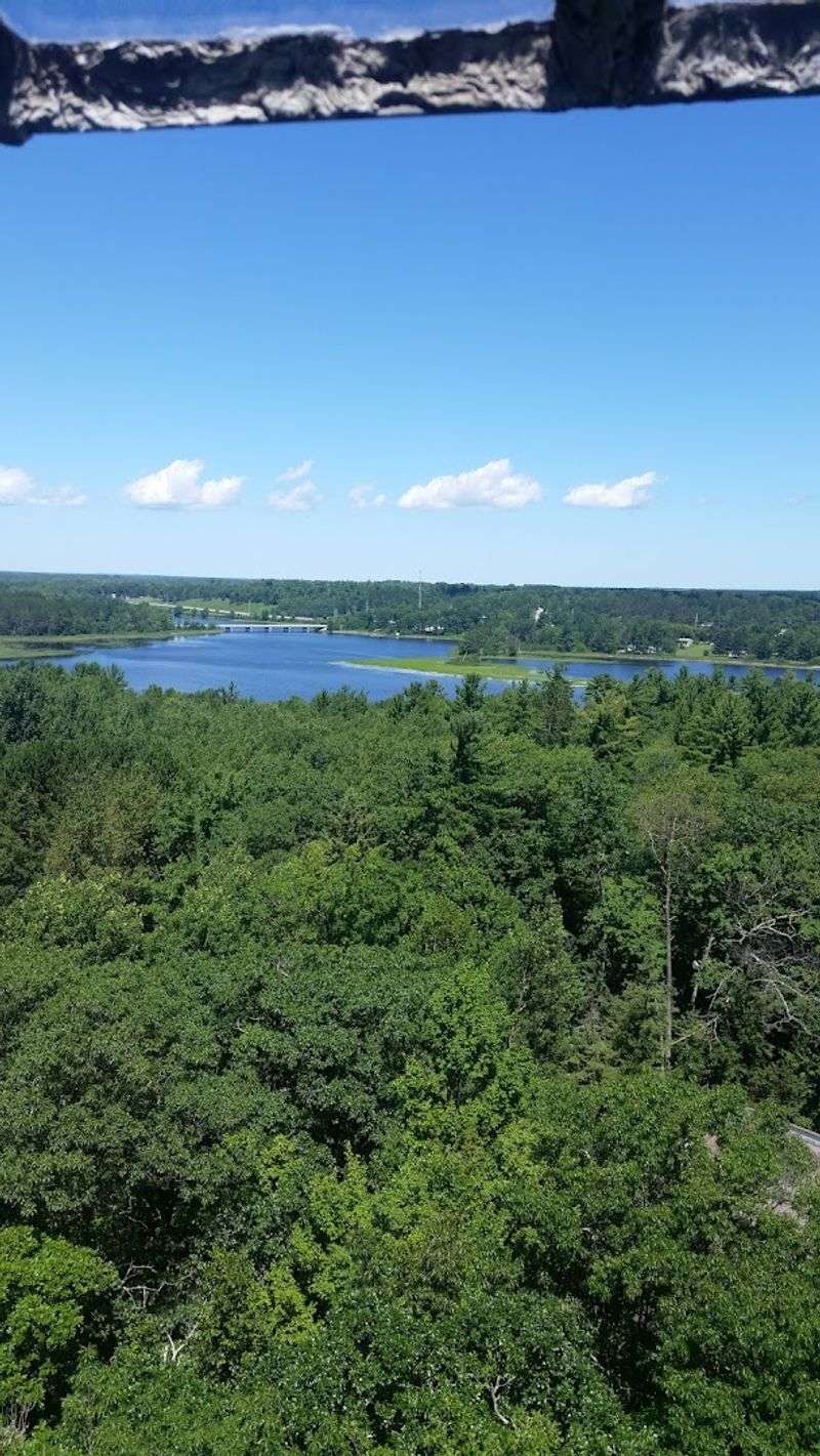 The Second Growth Forest Story