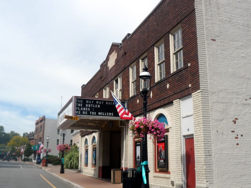 Tree-Lined Streets That Earn Every Instagram Post