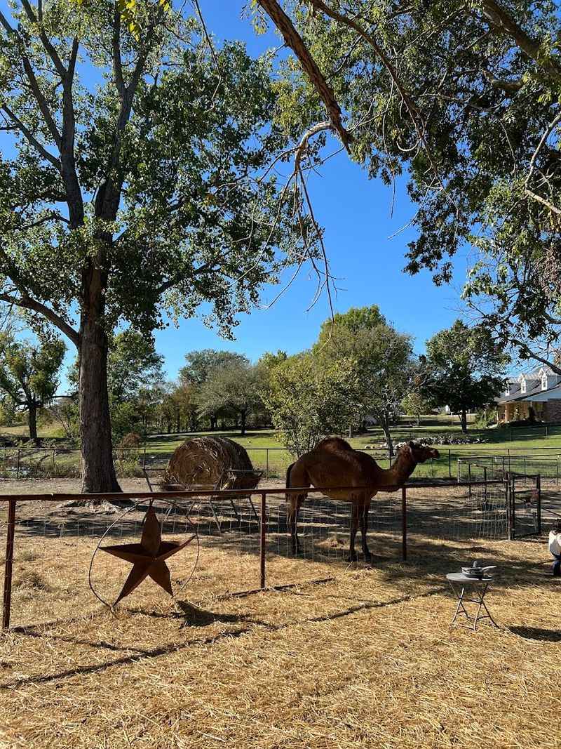 Picnic Areas Perfect for a Packed Lunch