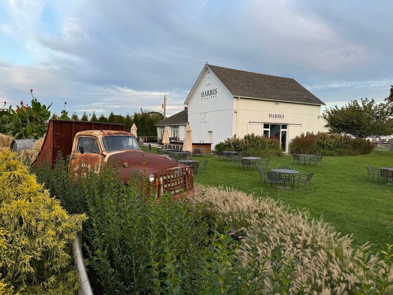 The Gnome Maze Gives Kids More To Do