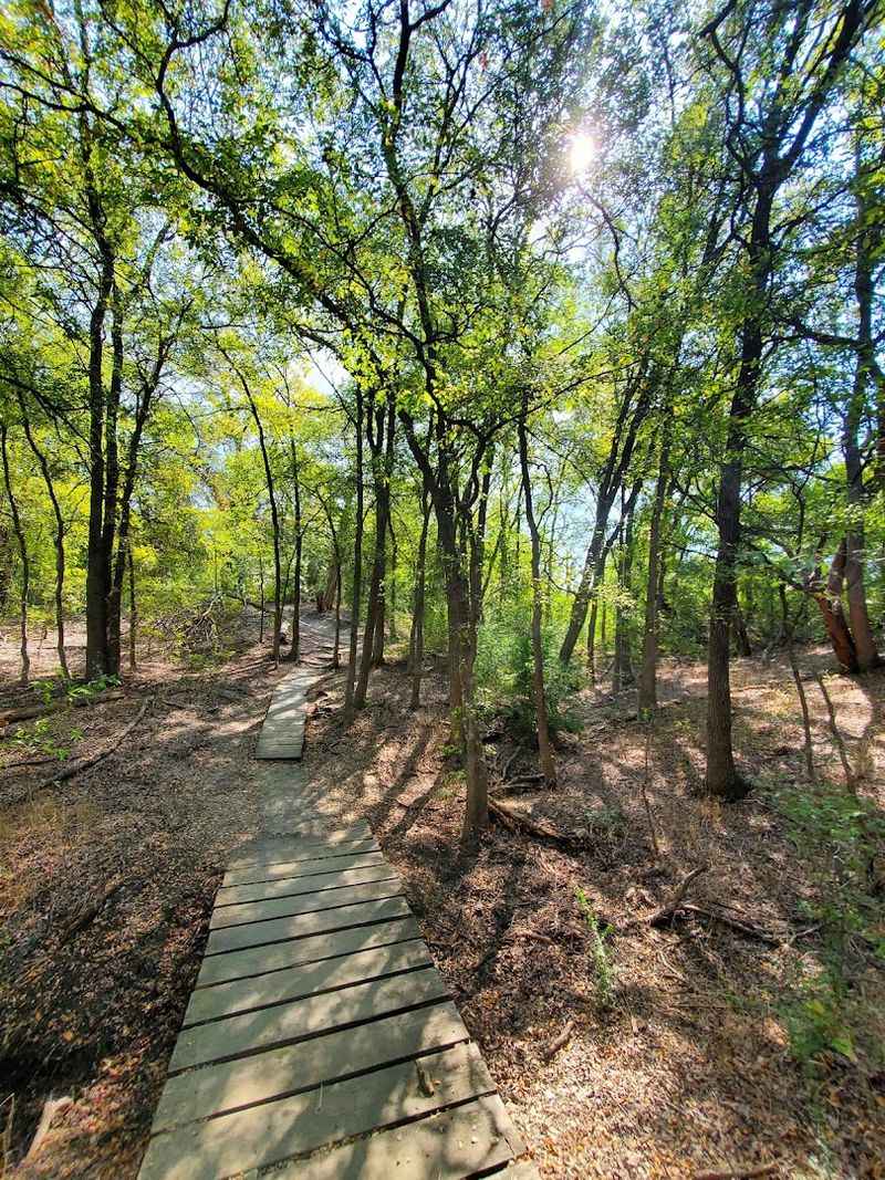 Cedar Hill State Park (Talalah Trail) 