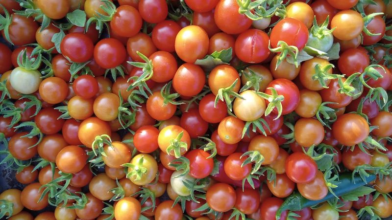 Locally Raised Meat That Changes How You Cook at Home