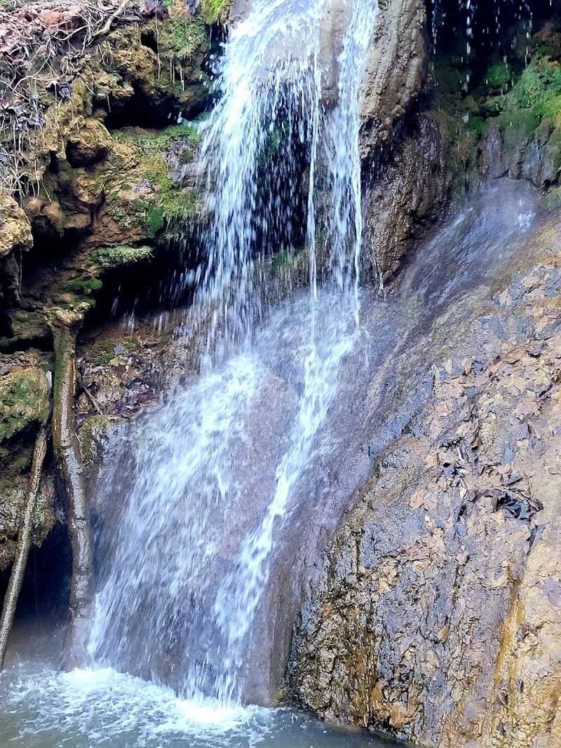 Falls Ridge Preserve, Elliston