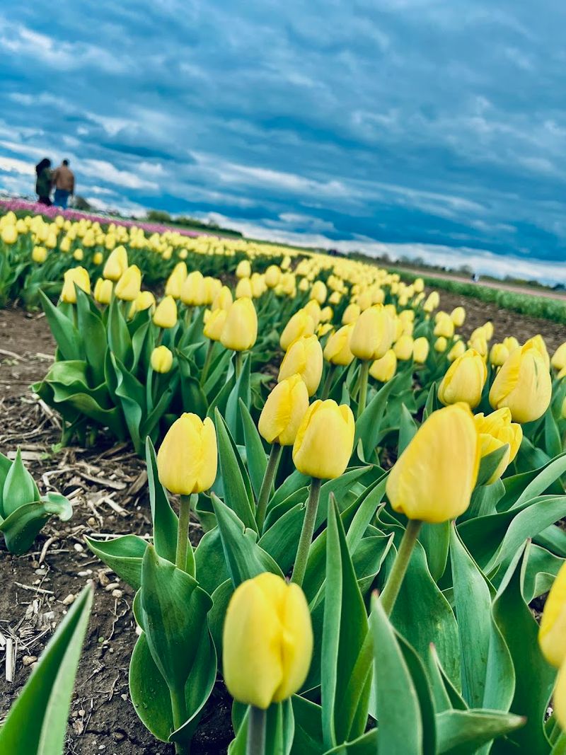 The Photo Appeal Is Hard To Miss