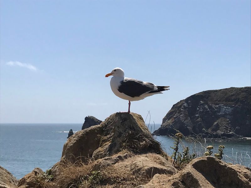 Birdwatching at One of Oregon's Most Productive Coastal Spots