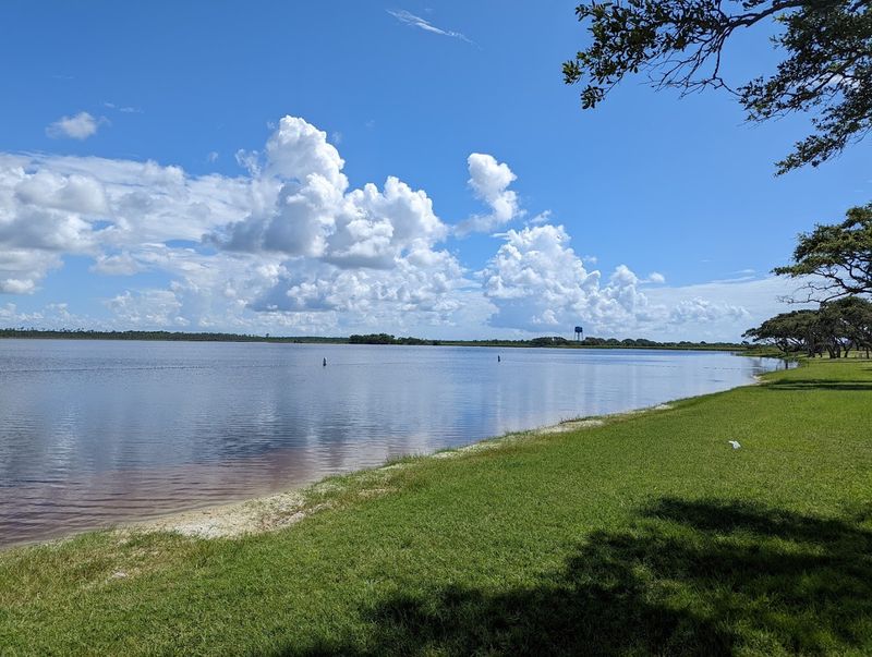 Gulf State Park's Natural Wonders