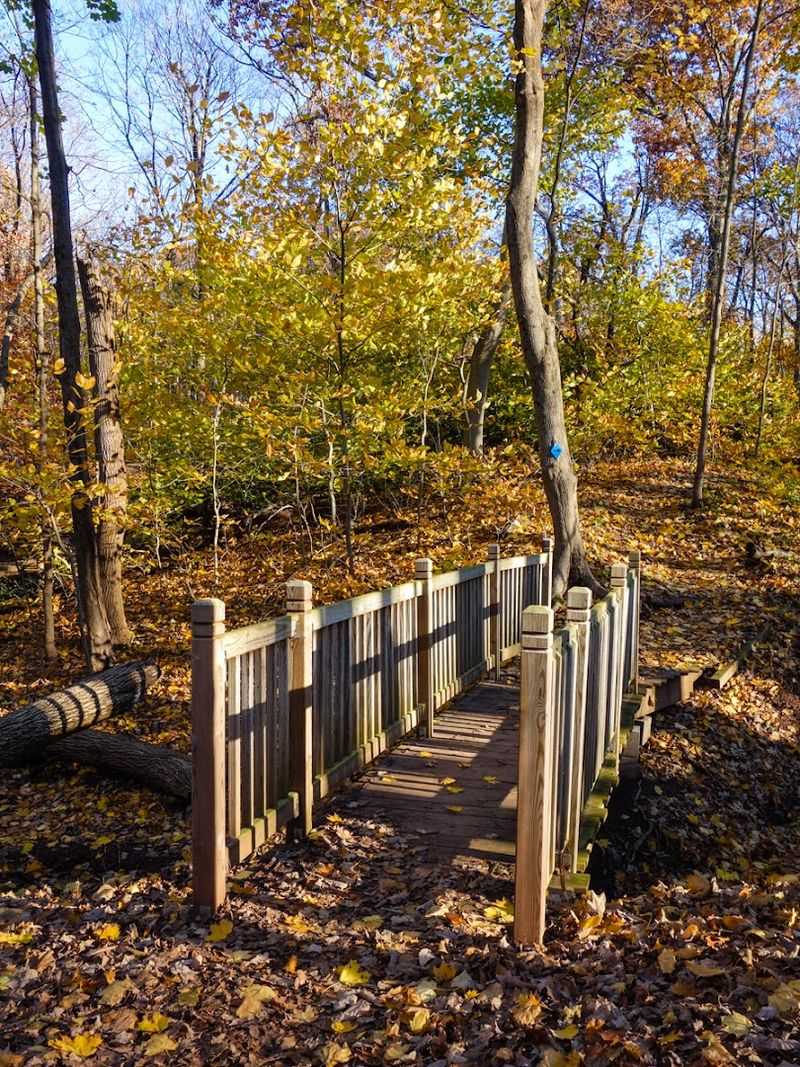 WWII Bunkers Hidden in the Woods: History You Can Actually Touch WWII Bunkers Hidden in the Woods: History You Can Actually Touch