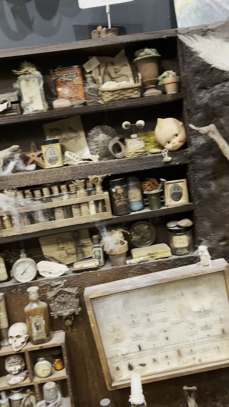 Antique Medical Equipment and Historical Artifacts