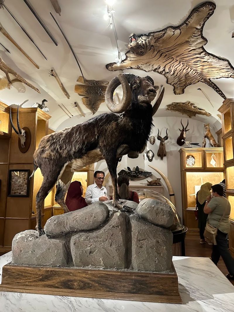 Membership Options: Making Free Even Better